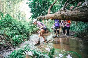 BIB: 
                            <button type="button" onclick="openModal(25517017)" class="btn btn-primary btn-sm float-right btn-popup" data-toggle="modal" data-target=".modal-high-quality">
                        <i class="fas fa-shopping-cart"></i> Add to Cart
                    </button>
                                            <button type="button" onclick="isThisMe(25517017, true)" class="btn btn-success btn-sm float-right btn-popup btn-isme hidden" data-toggle="tooltip" data-placement="bottom" title="นี่คือรูปของคุณใช่ไหม คลิกที่นี่เพื่อเอาเข้าอัลบั้ม">
                        <i class="fas fa-plus"></i> Add to album
                    </button>
                    <button type="button" onclick="isThisMe(25517017, false)" class="btn btn-warning btn-sm float-right btn-popup btn-isnotme hidden">
                        <i class="fas fa-ban"></i> Remove from album
                    </button>